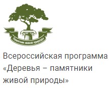 Конкурс «Российское дерево года».